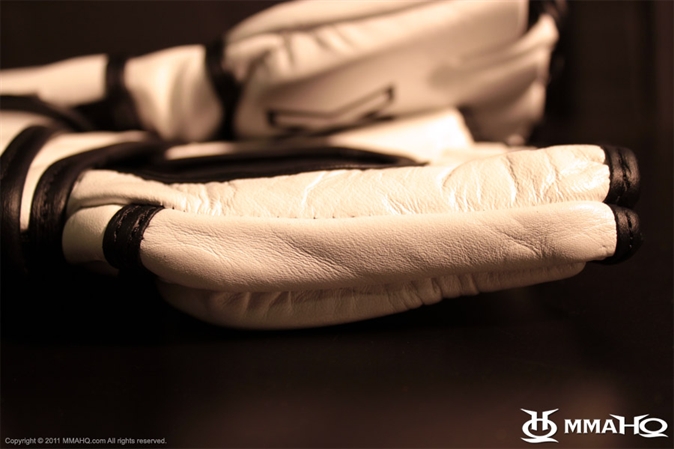MMA gloves